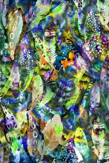 511347-五彩羽毛 肌理组合