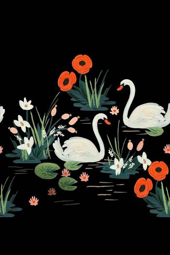 春秋外套定位图印花华亿平台图片