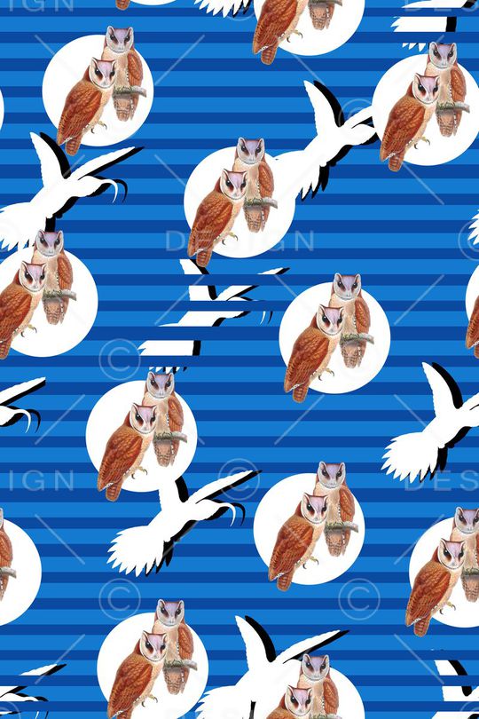 猫头鹰印花华亿平台图片