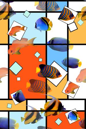 格子印花华亿平台图片