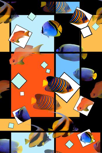 511516-鱼抠图正式黑