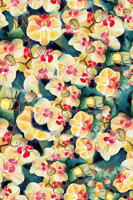 大碗花印花华亿平台图片