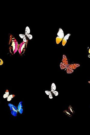 男装印花华亿平台图片