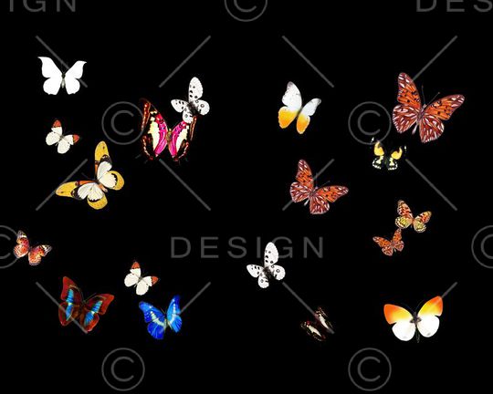 男装印花华亿平台图片