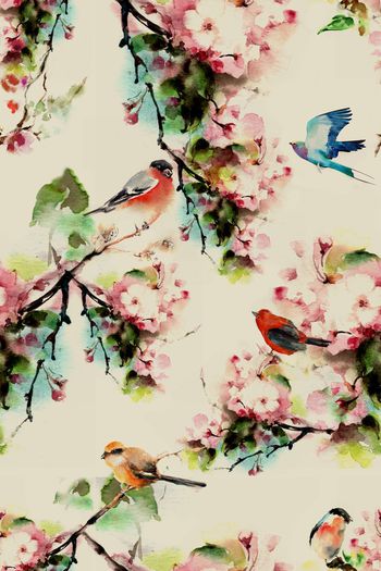 511828-中国风水彩花鸟图 