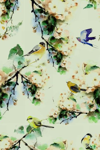 511829-中国风水彩花鸟图 