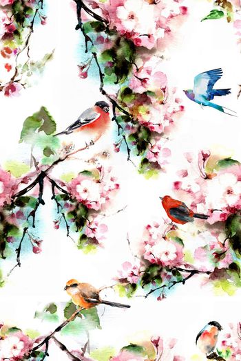 511830-中国风水彩花鸟图 