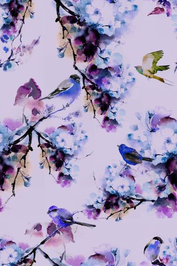 511831-中国风水彩花鸟图 