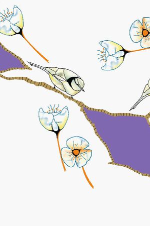 男装华亿平台印花华亿平台图片