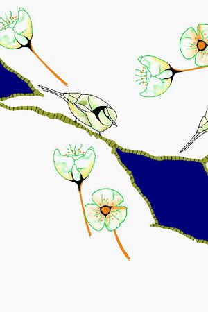 男装华亿平台印花华亿平台图片