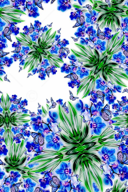 大牌印花华亿平台图片