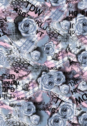 512038-英文玫瑰 ok