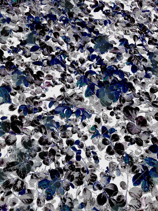 K浪漫田园印花华亿平台图片