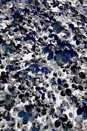 K浪漫田园印花华亿平台图片