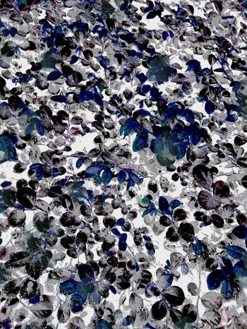 512055-一花一世界