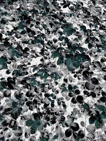 512056-一花一世界