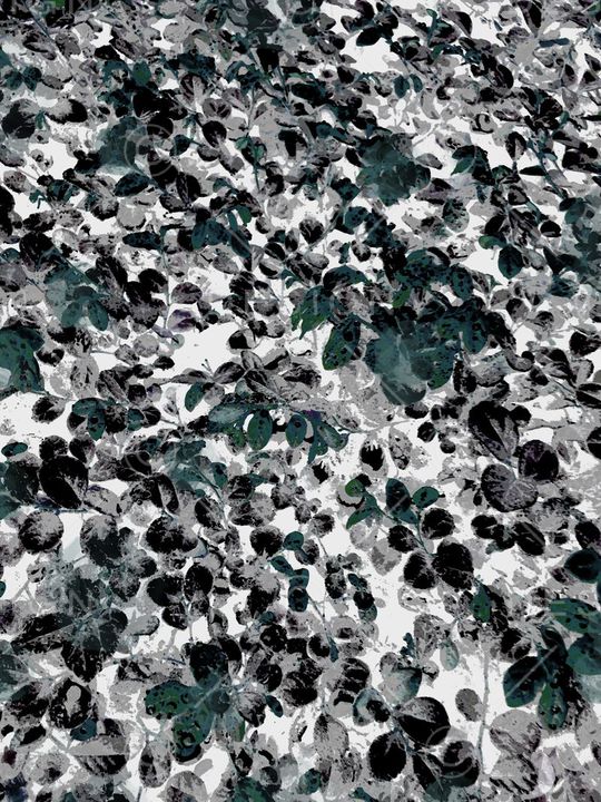 K浪漫田园印花华亿平台图片