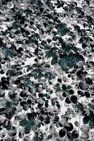 K浪漫田园印花华亿平台图片