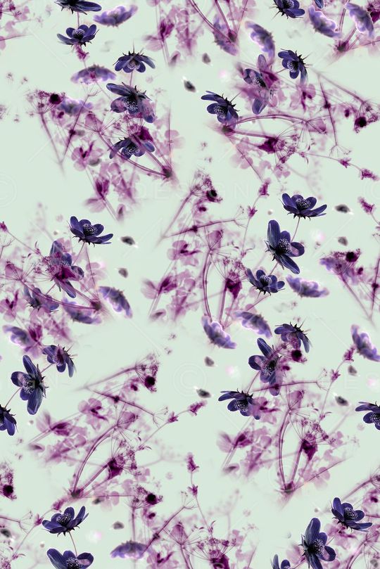 半透明印花华亿平台图片