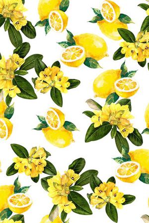 D&G春夏印花华亿平台图片