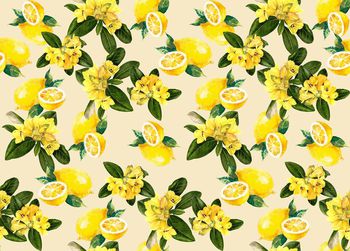 512184-潮流时尚D&G春夏柠檬手绘花卉组合