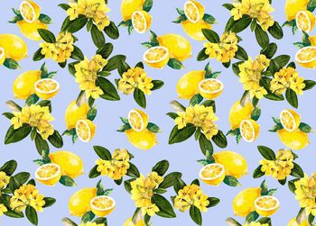 512185-潮流时尚D&G春夏柠檬手绘花卉组合