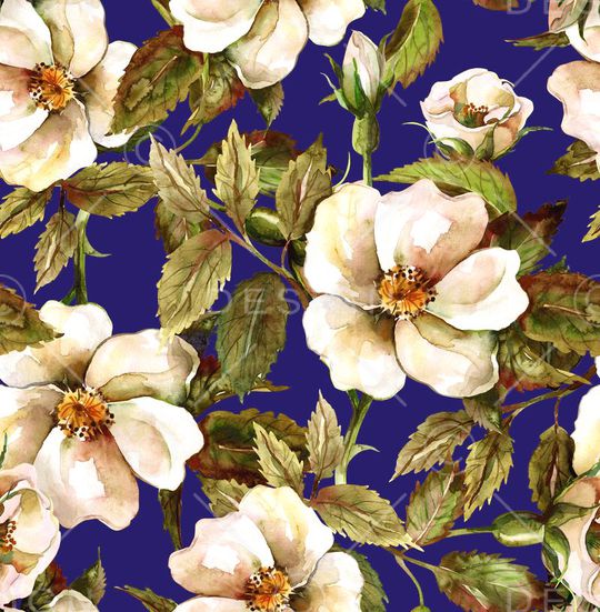 D&G水彩印花华亿平台图片