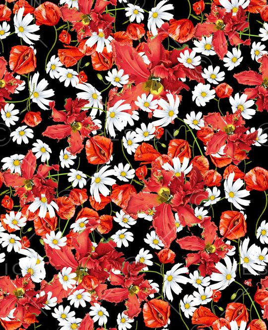 D&G风格印花华亿平台图片