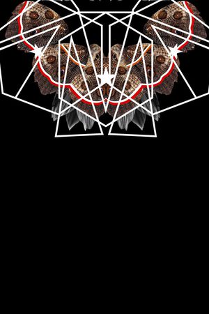 Philipp Plein印花华亿平台图片