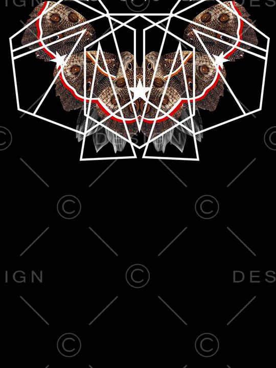 Philipp Plein印花华亿平台图片