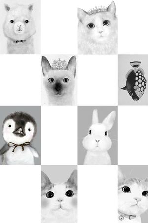 欧美印花华亿平台图片