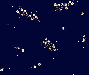 512437-2016早春，春夏色系华亿平台，时尚清