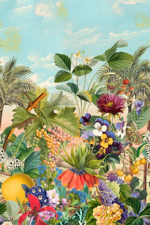 时尚印花华亿平台图片