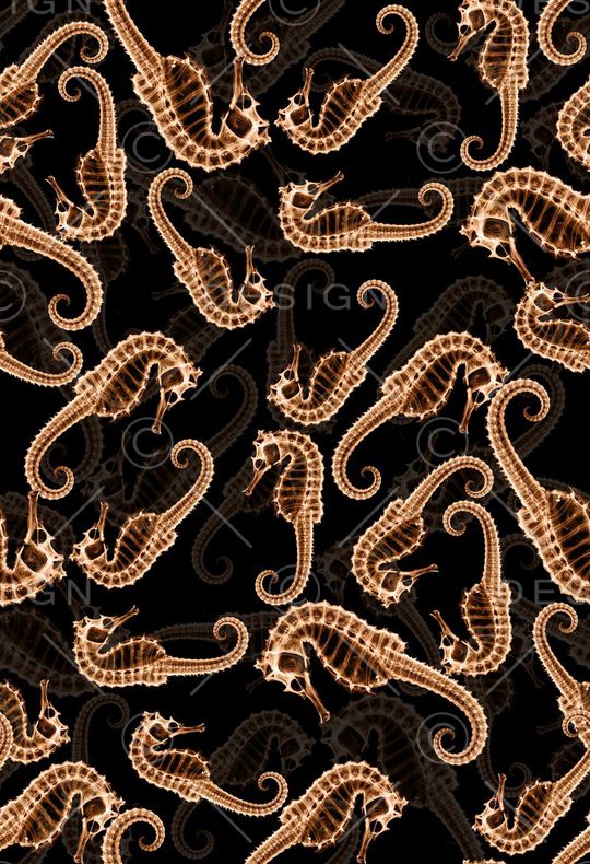 潮流时尚印花华亿平台图片