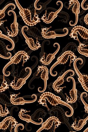 潮流时尚印花华亿平台图片