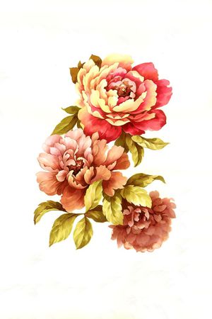 大花印花华亿平台图片