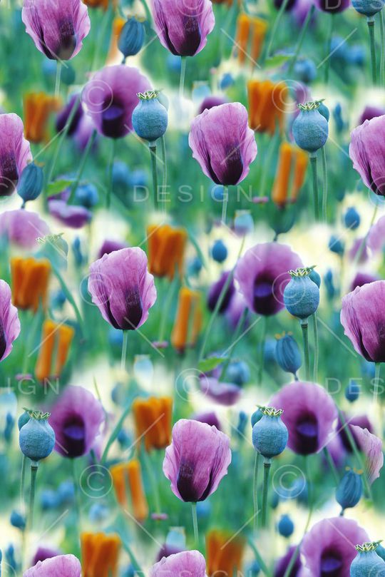 摄影印花华亿平台图片