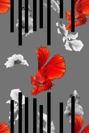 衬衫印花华亿平台图片