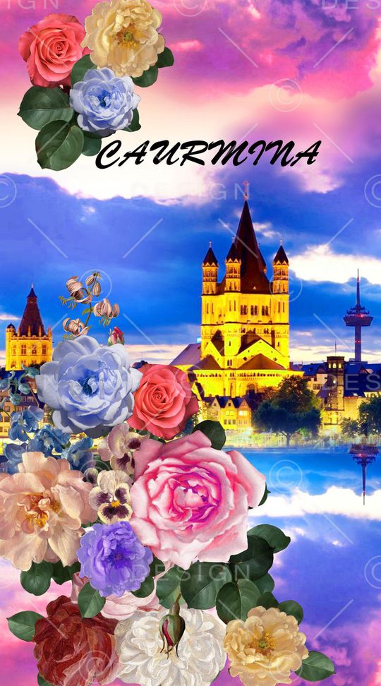 女装印花华亿平台图片