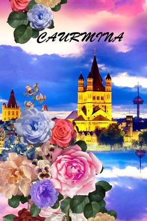 女装印花华亿平台图片