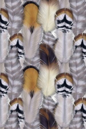 动物纹印花华亿平台图片