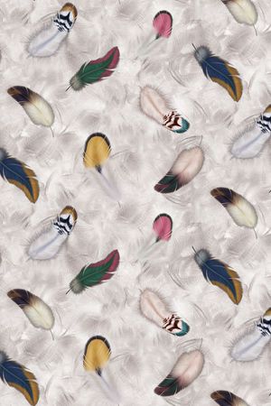 动物纹印花华亿平台图片