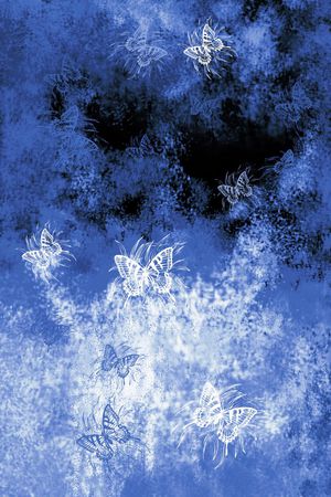 蝴蝶印花华亿平台图片