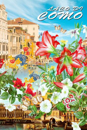 D&G风格印花华亿平台图片