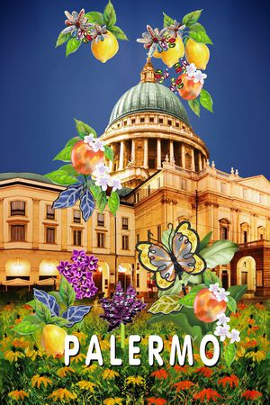 D&G印花华亿平台图片