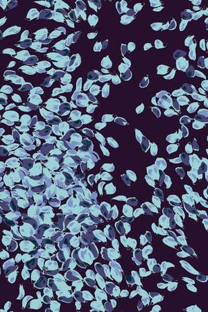 点印花华亿平台图片