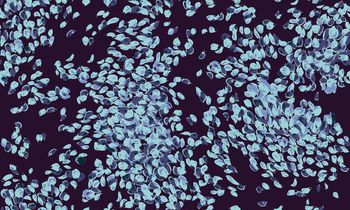 点印花华亿平台图片