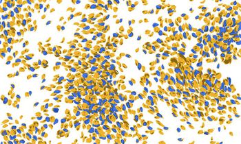 512842-小雨点的启示