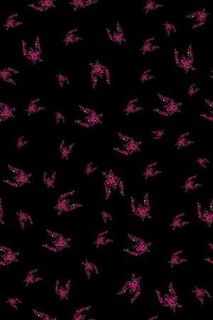 简约印花华亿平台图片