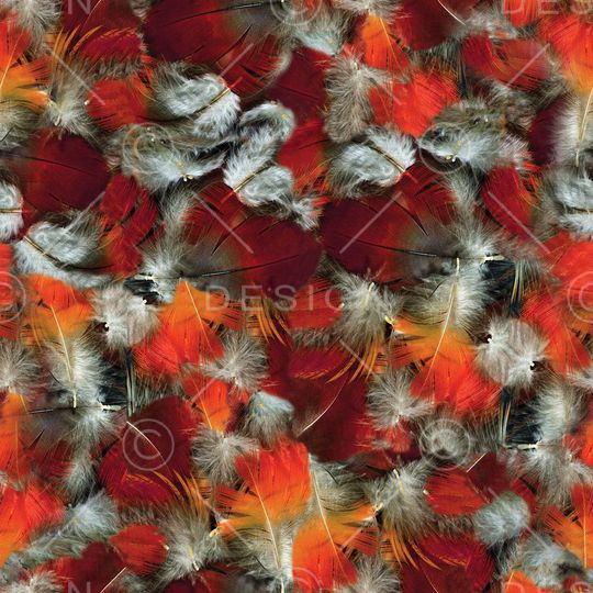 动物纹印花华亿平台图片